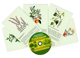 Интерактивный наглядный комплекс "Гербарий "Для начальной школы" - fgospostavki.ru - Калуга
