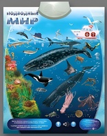 Озвученный плакат "Подводный мир" - fgospostavki.ru - Калуга