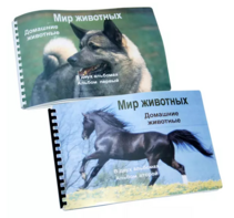 Пособие для слабовидящих - Домашние животные - fgospostavki.ru - Калуга