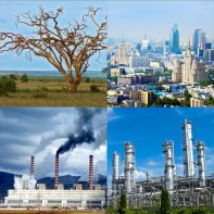 Модель-аппликация Биосфера и человек - fgospostavki.ru - Калуга