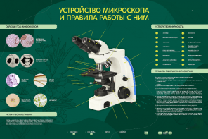 Электрифицированный стенд "Устройство микроскопа и правила работы c ним" - fgospostavki.ru - Калуга