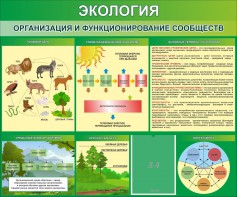 Стенд "Экология. Организация и функционирование сообществ" - fgospostavki.ru - Калуга