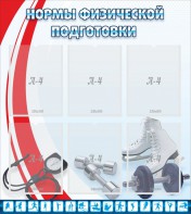 Стенд "Нормы физической подготовки" Вариант 2 - fgospostavki.ru - Калуга