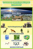 Стенд "Уровни организации живого" - fgospostavki.ru - Калуга