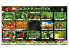Комплект оборудования "Живой уголок" (растения) - fgospostavki.ru - Калуга