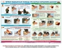Комплект плакатов "Оказание первой доврачебной медицинской помощи" - fgospostavki.ru - Калуга