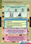 Комплект таблиц. История. Политические течения XVIII-XIX веков. - fgospostavki.ru - Калуга