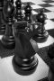 Напольные фигуры шахматные гигантские 61 - fgospostavki.ru - Калуга
