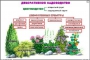 Комплект кодотранспарантов "Культурные растения" - fgospostavki.ru - Калуга
